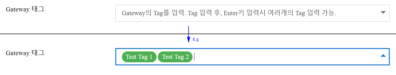 게이트웨이 태그